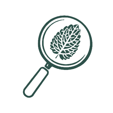 Magnifying glass icon