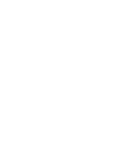 St. John's wort icon