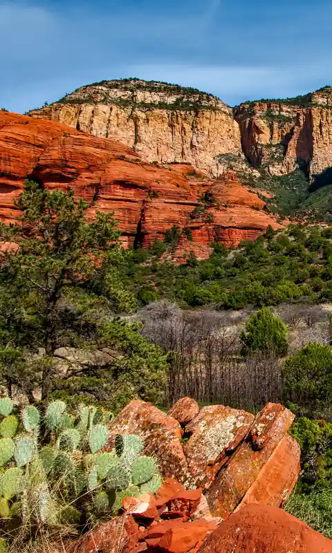 Sedona red rock cliffs and desert landscape