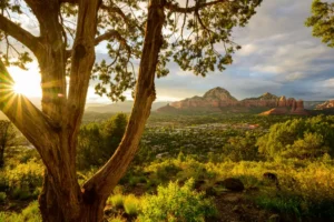 Hot Summer in the High Desert